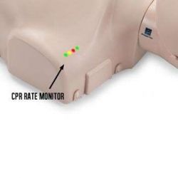Yetişkin CPR Mankeni Işık Göstergeli Prestan